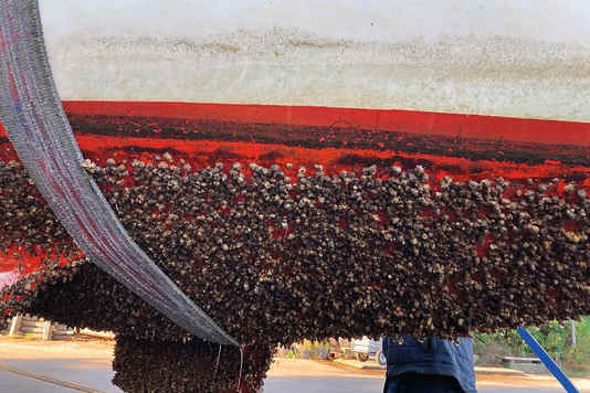 Alles über Antifouling-Systeme