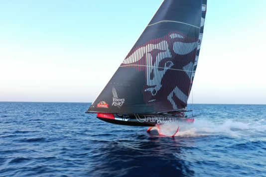 "Charal" before "11th Hour" - Imocas rush southwards