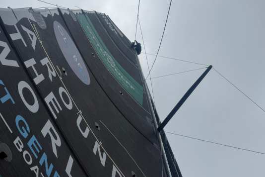 Weekend finale da thriller nell'Oceano Indiano - Finch in albero maestro