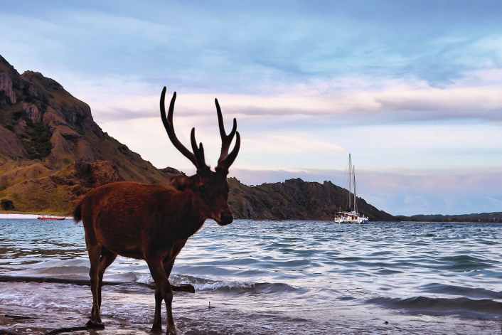 Tour des îles en catamaran