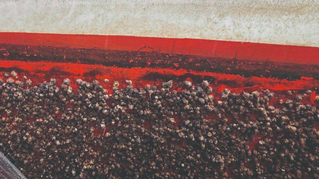 Antifouling-Systeme im Überblick