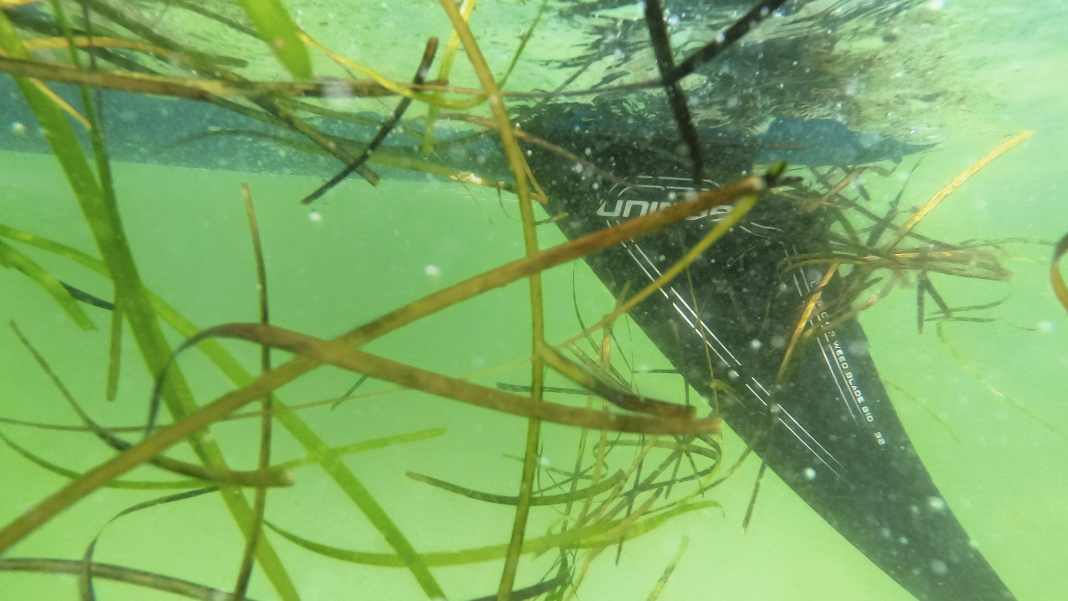 How to find the right weed fin for you