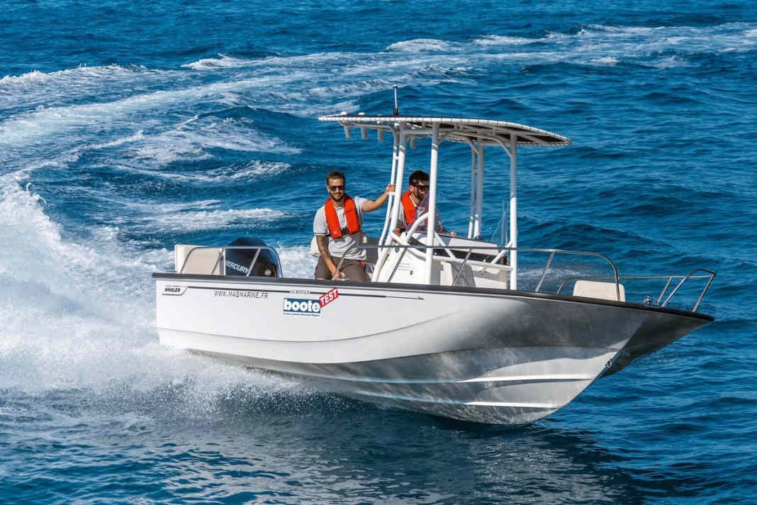 Boston Whaler 210 Montauk - Neuauflage