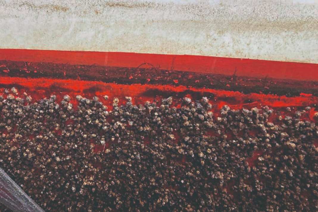 Antifouling systems at a glance