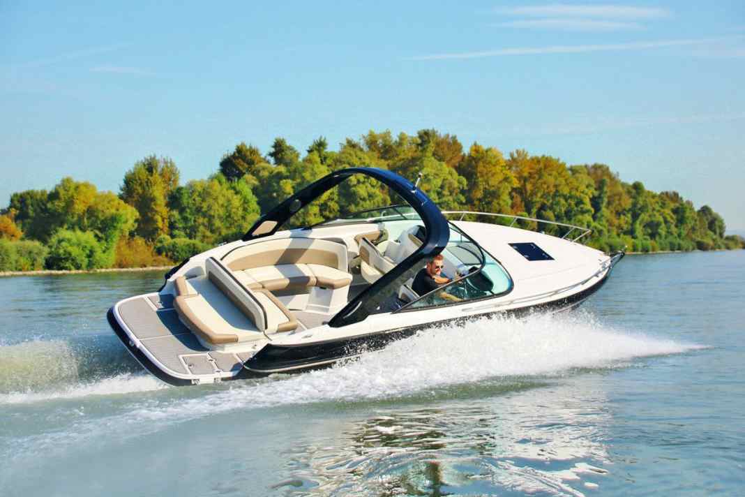 Daycruiser - Viper V 263