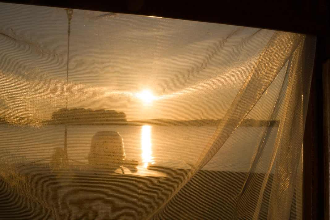 Wie Sie sich vor Mücken im Sommer schützen