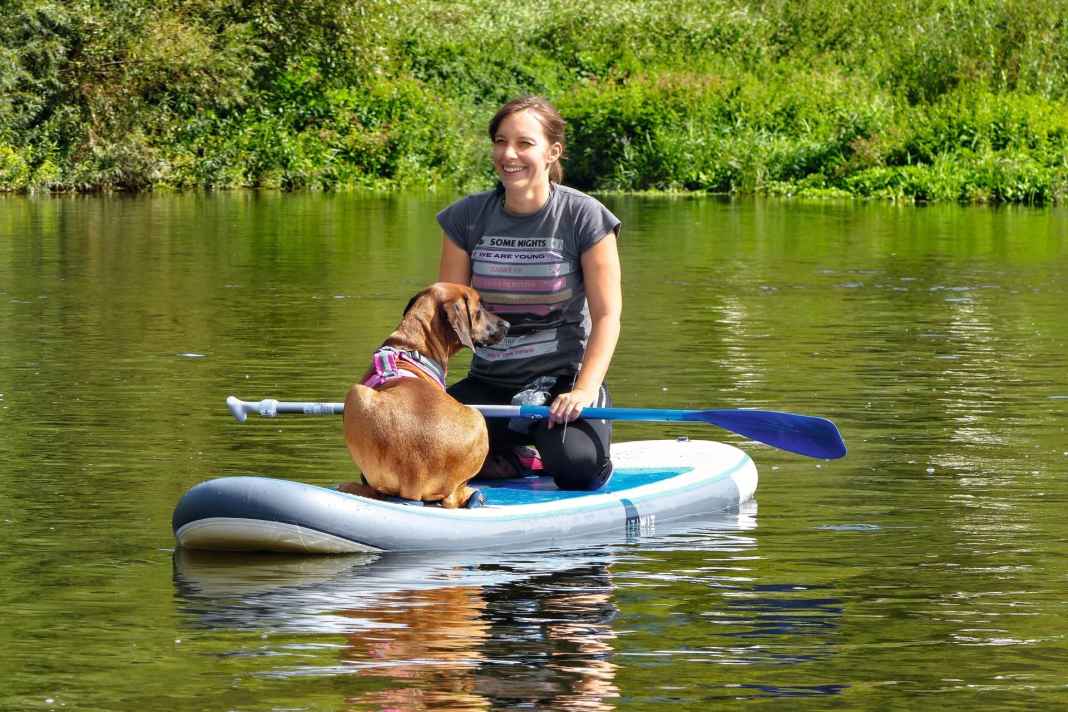 Tipps fürs Paddeln mit Hund