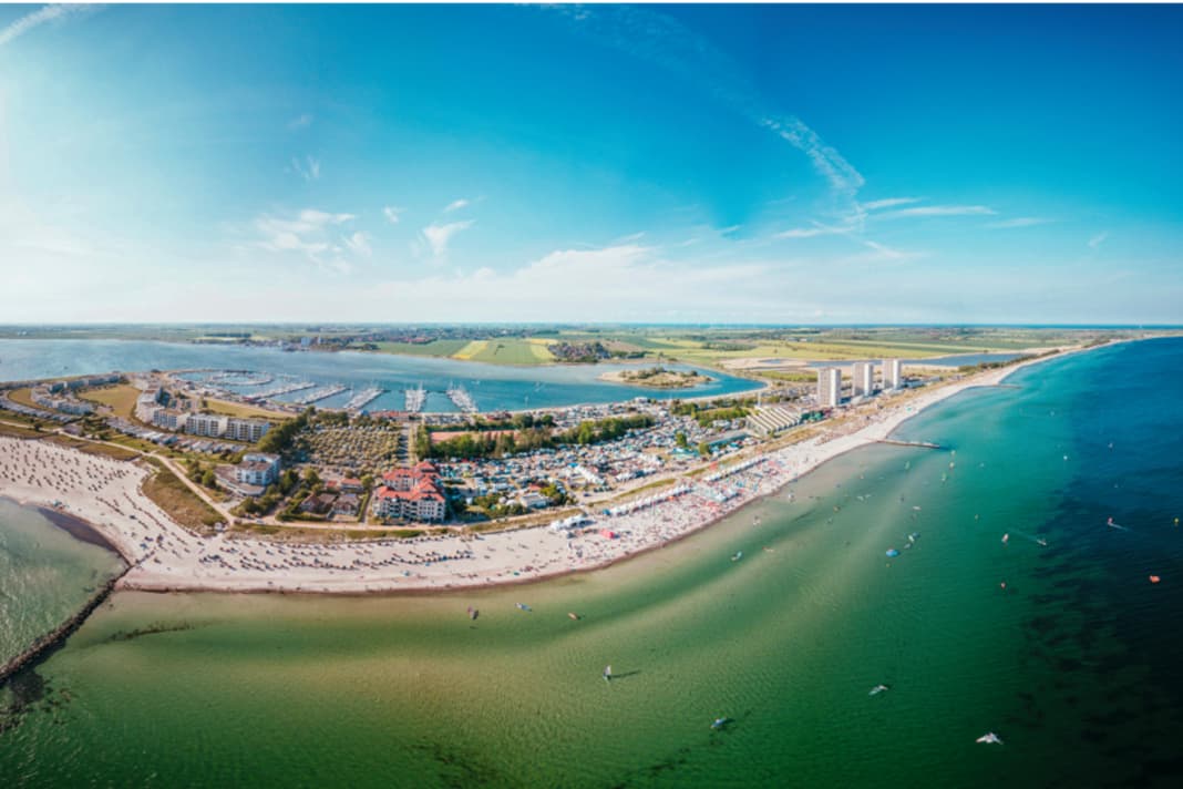 Surf-Festival - das volle Programm!