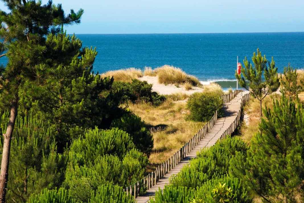 Viana Do Castelo - Wingsurf dream spot for spring