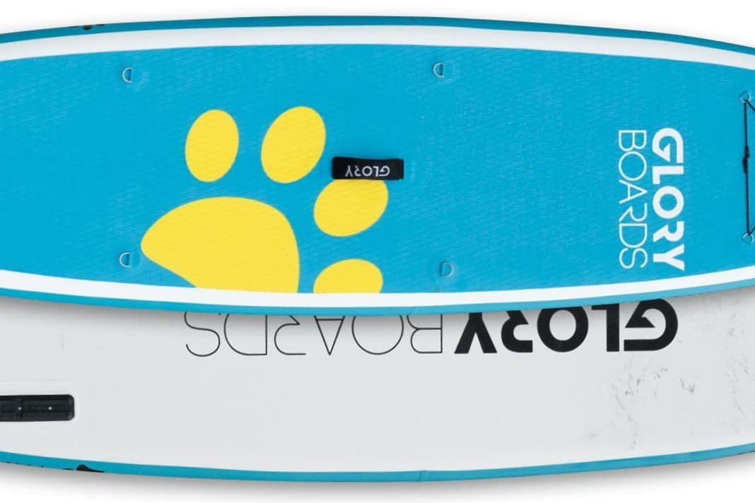Glory Boards Paw 11'0" x 31.0" in test - the SUP for dogs