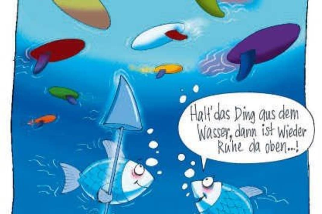 Was denken eigentlich Fische über Windsurfer?