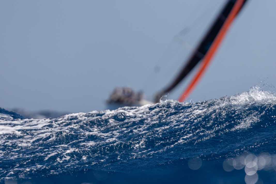 Mein lieber Schwan – “Best Buddies” siegt in Griechenland