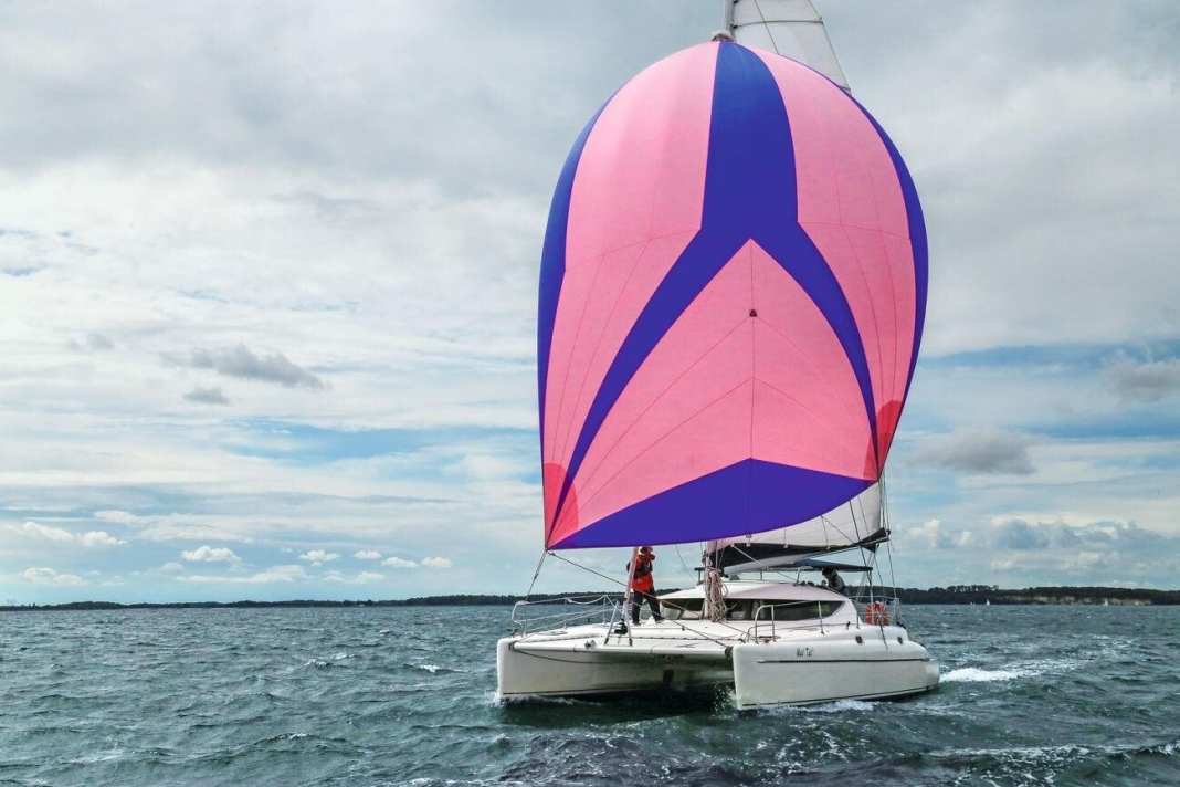 Un catamaran agile et solide grâce à de bons gènes