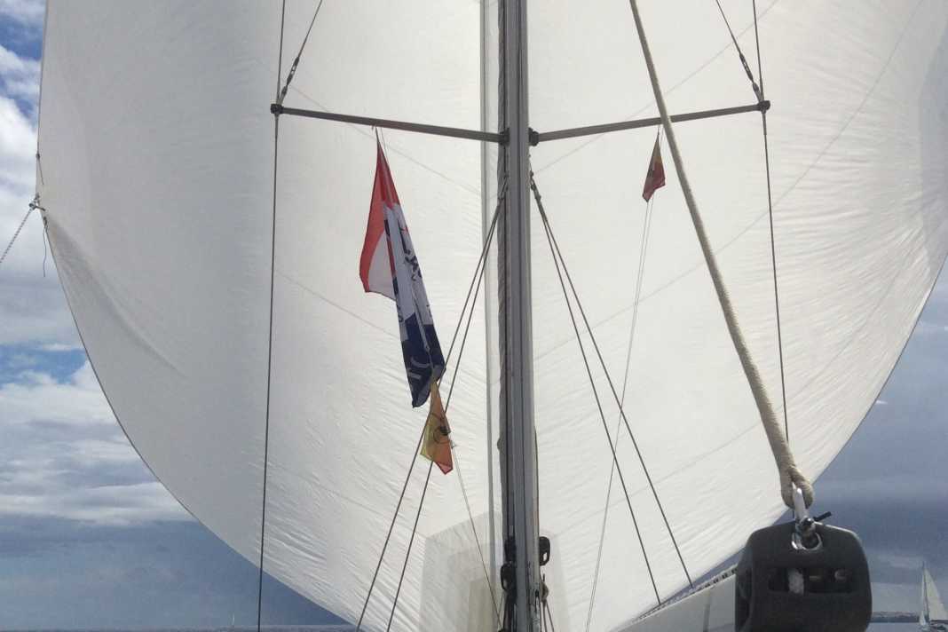 Sostituire spinnaker e blister?