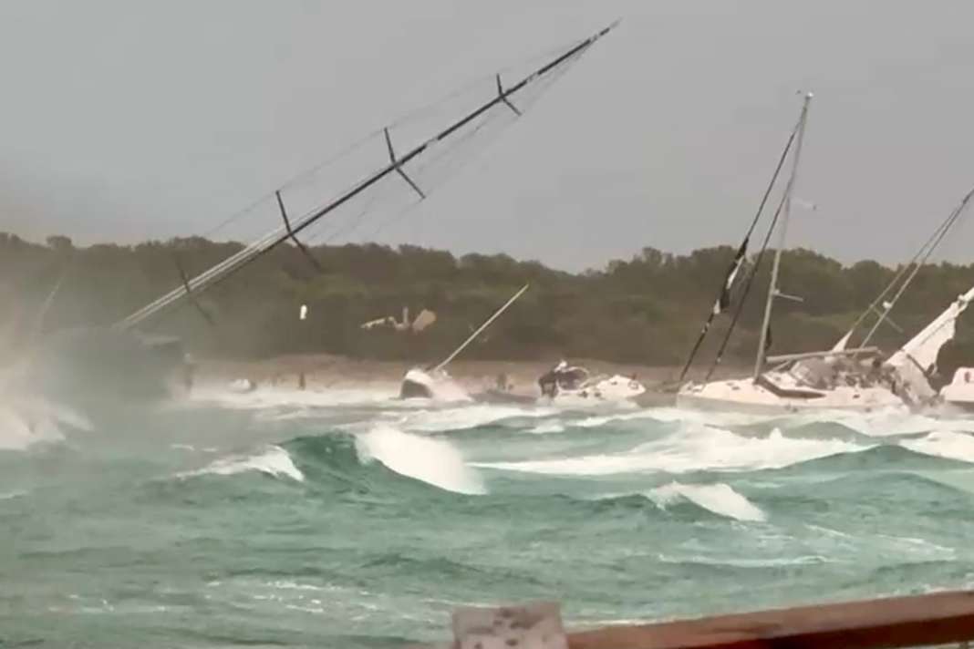 Dozens of boats washed ashore