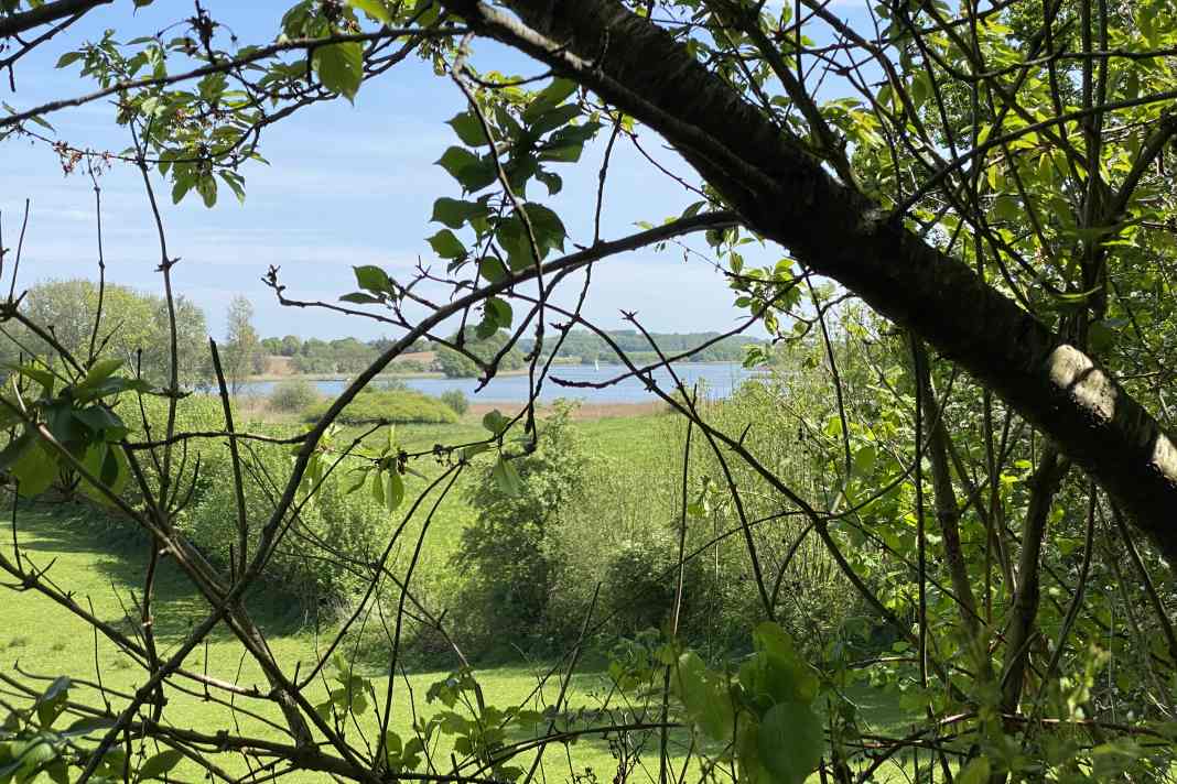 Dernier mouillage sur la Schlei