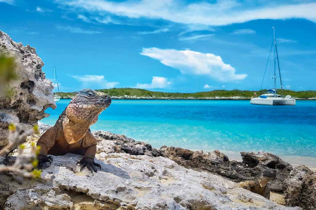 Tre hotspot nei Caraibi un po' diversi tra loro