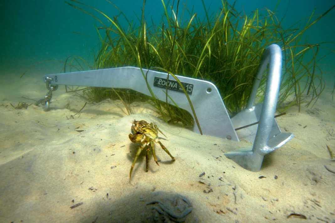 The solid basic equipment for dropping the hook with peace of mind