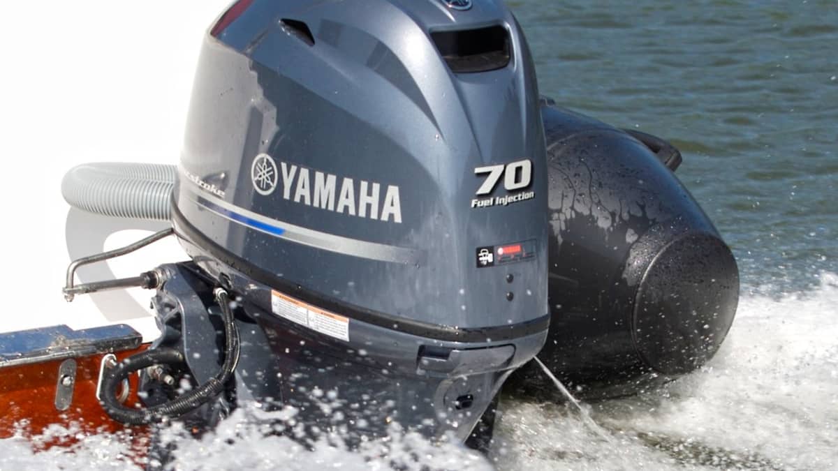 3080eec929798c8ed9aac899bc46c7