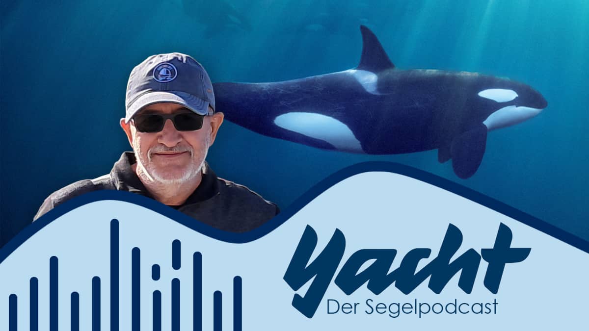 Neue-Podcast-Folge-Experte-Rui-Alves-spricht-ber-die-Orca-Angriffe
