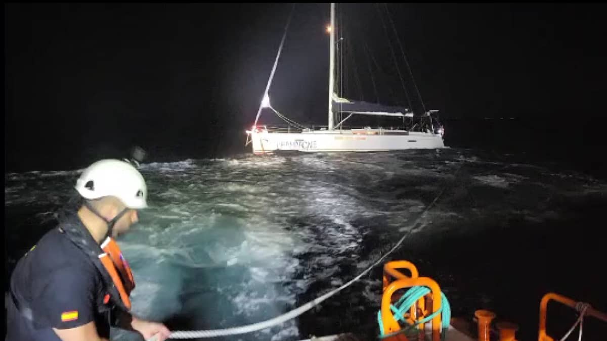 Panik Vor Lissabon Segelyacht Nach Orca Angriff Gesunken - jsrpy54