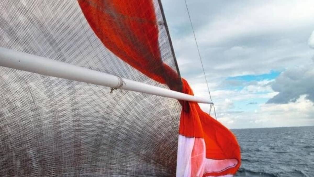 Recovery system: Spi trumpet for retrofitting | YACHT