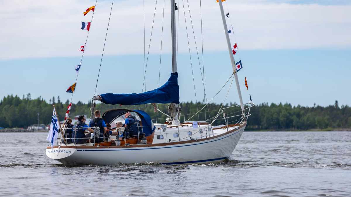 Swan-Tarantellas-R-ckkehr-Die-erste-Swan-segelt-wieder