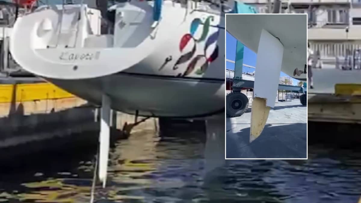 Copa del Rey Mapfre: Rudder off - renewed orca interaction with ...