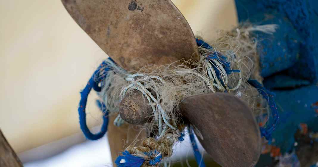 Technik-Das-ist-zu-tun-wenn-eine-Leine-in-den-Propeller-ger-t