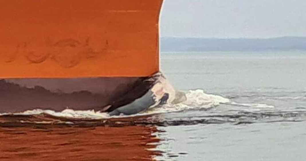 Ostsee-Buckelwal-Tod-durch-Trump-Tanker-