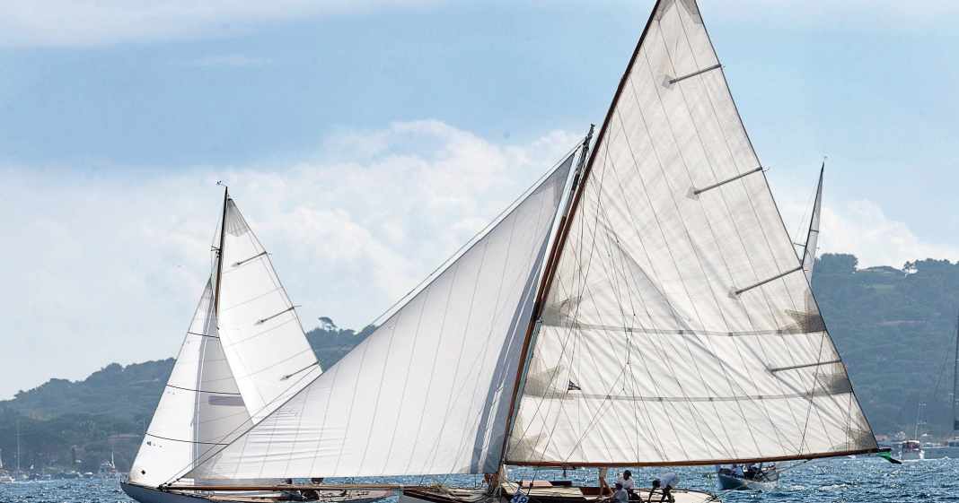 Houari-Alcyon-bertakelter-Nachbau-erweckt-mythischen-Meeresvogel