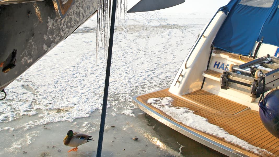 Technik: Frostschutz - Sicher durch den Winter