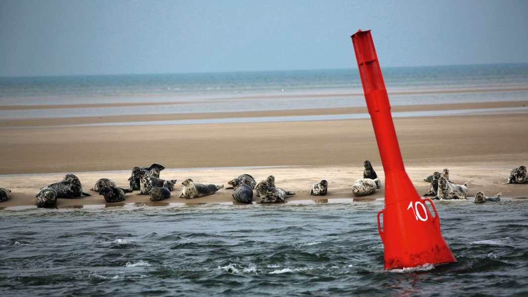 Trip: German Bight - North Frisian Islands