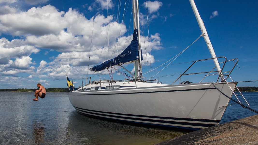 Investigation in the Baltic Sea and Schlei: vibrios in almost all samples