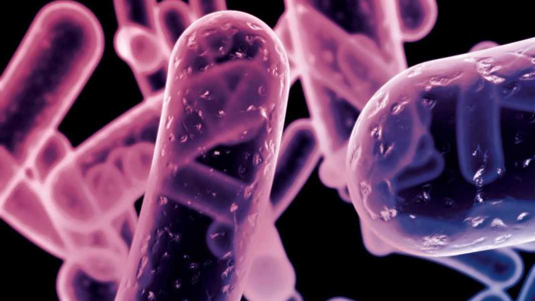 Guide: Diesel bacteria - Small cause, big effect: Bacteria in diesel