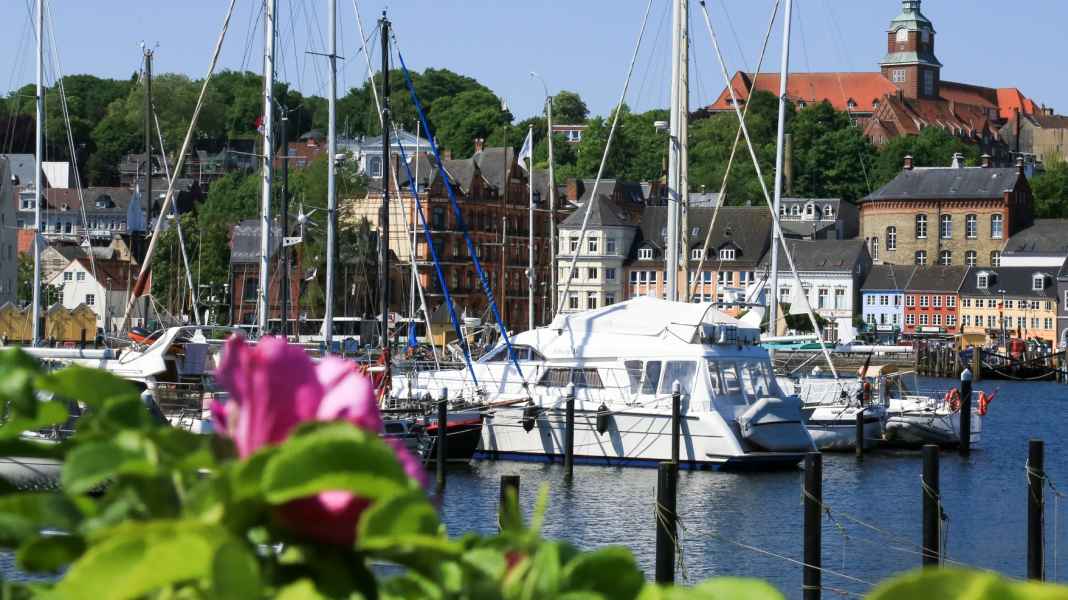 Baltic Sea: 2025 season - news on the Flensburg Fjord and Schlei
