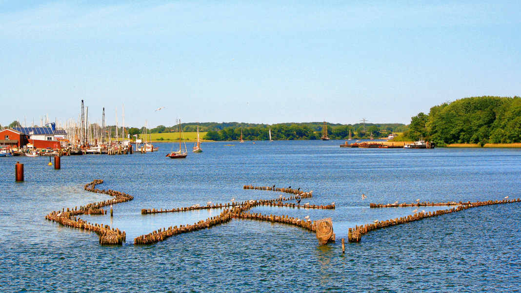 Törn: Schlei - Auf Odins Spuren