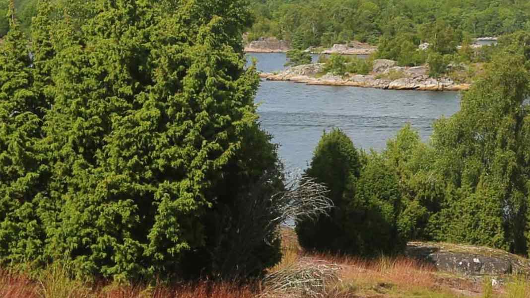 Cruise: Swedish south coast - Hanö Bay: Rock solid