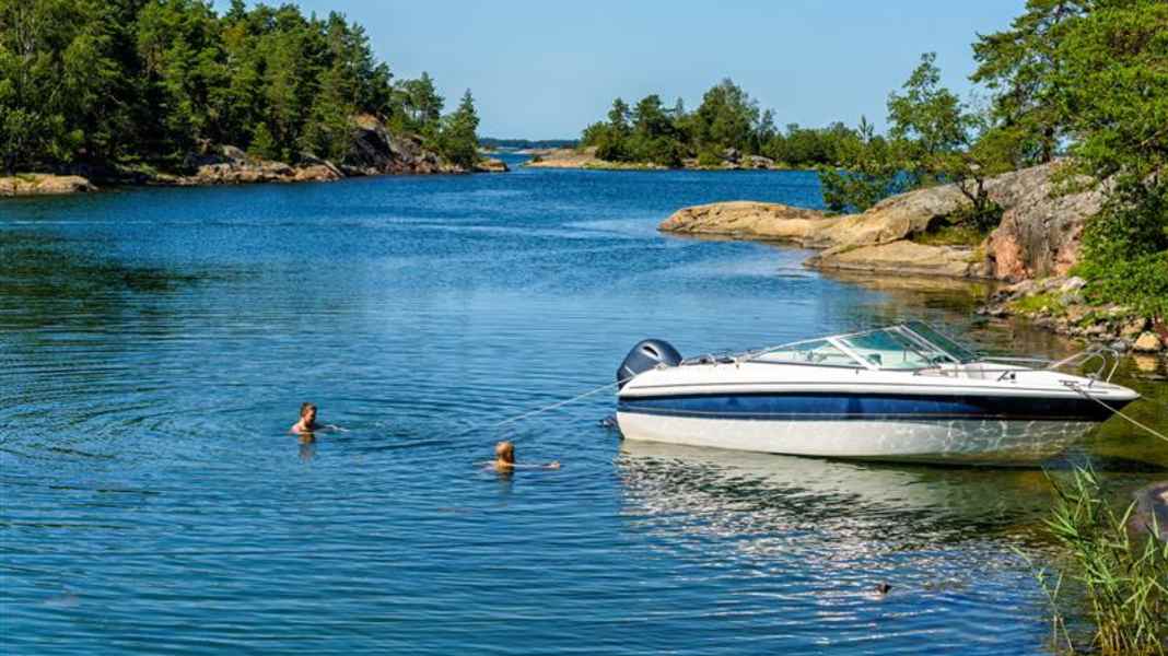 Baltic Sea: Scientists work on early warning system for vibrios