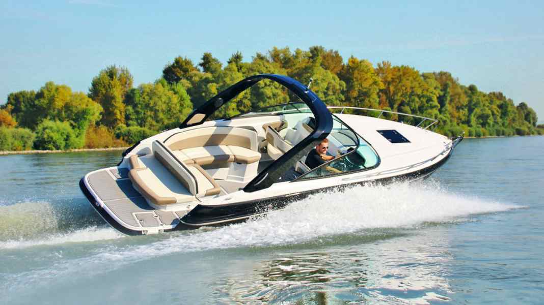 Test: Daycruiser - Viper V 263