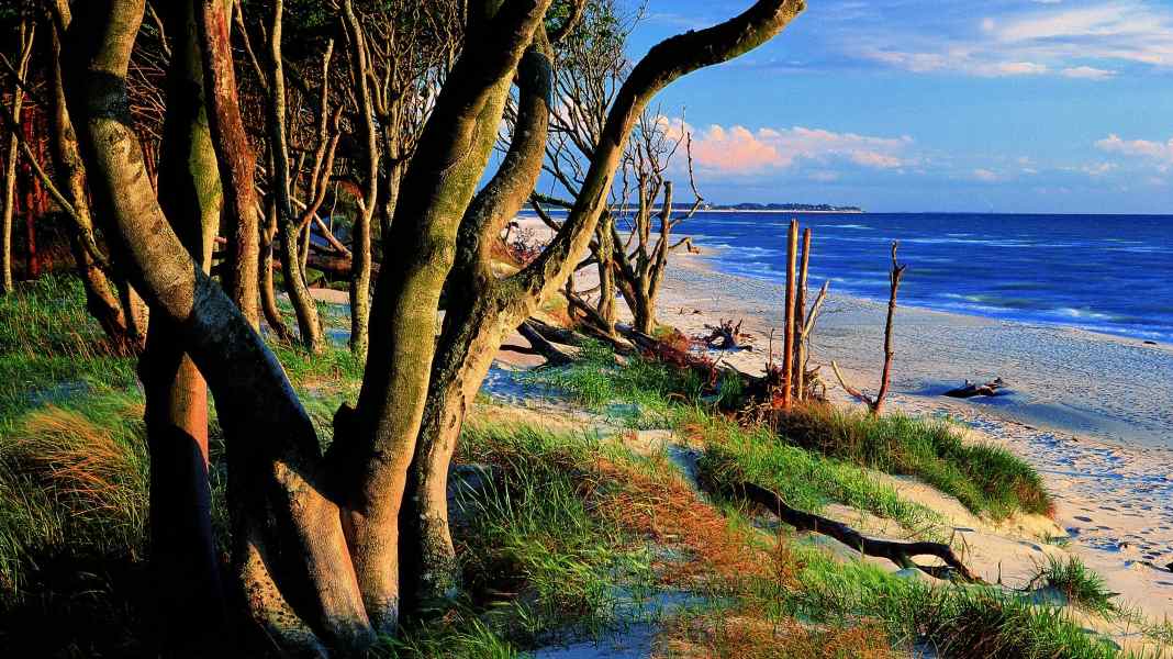 Western Pomeranian Bodden Landscape