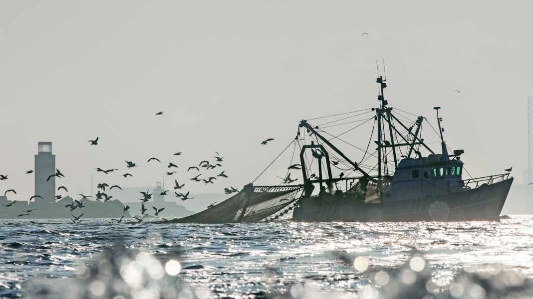 Fotografie: So machen Sie bessere Bilder an Bord