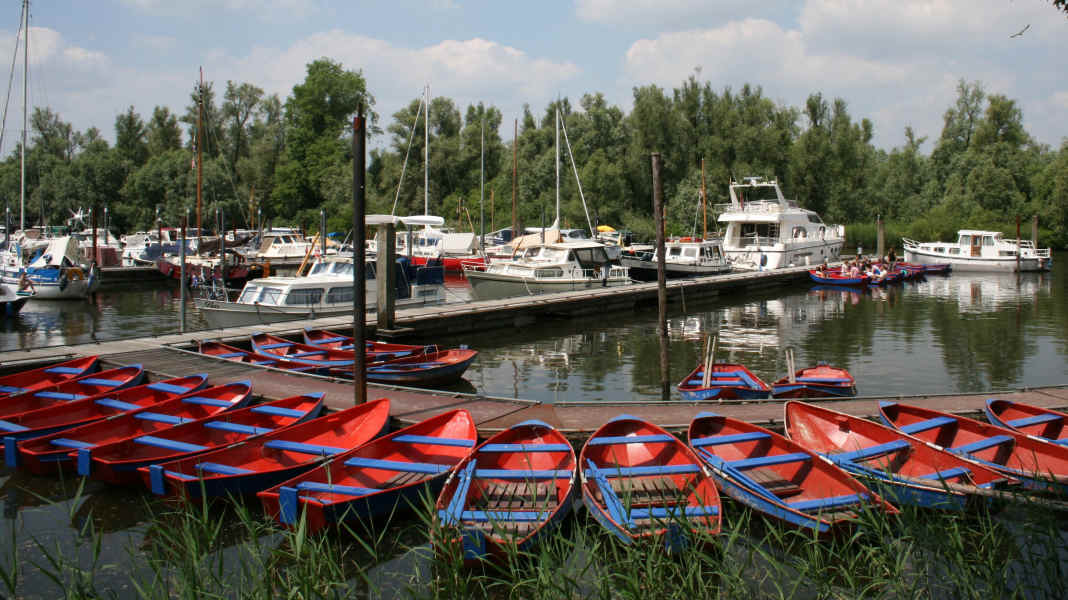 Amazonia next door - Netherlands: Meuse and Biesbosch