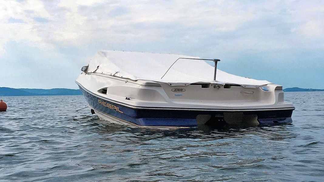 Solar-powered scarecrow - troublemaker on board