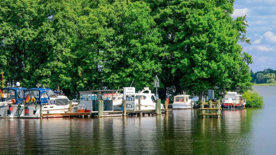 Revier: Obere Spree - Ein Teil vom grünen Traum