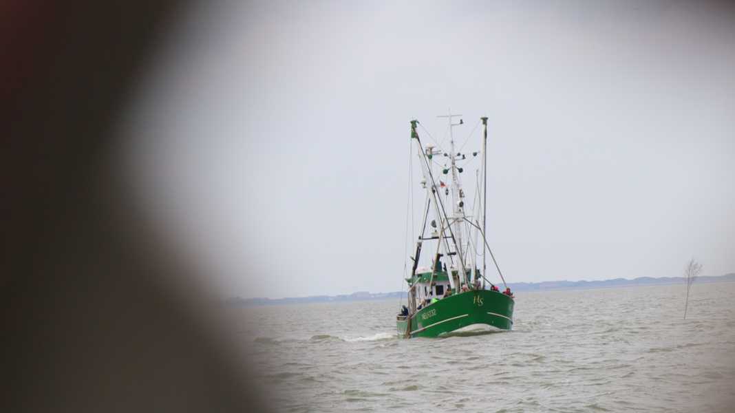 At the start of the season: Area update North Sea 1 - East Frisia