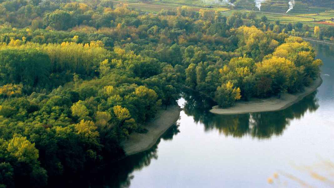 Die 10 schönsten Flüsse für Stand-Up-Paddler: Donau