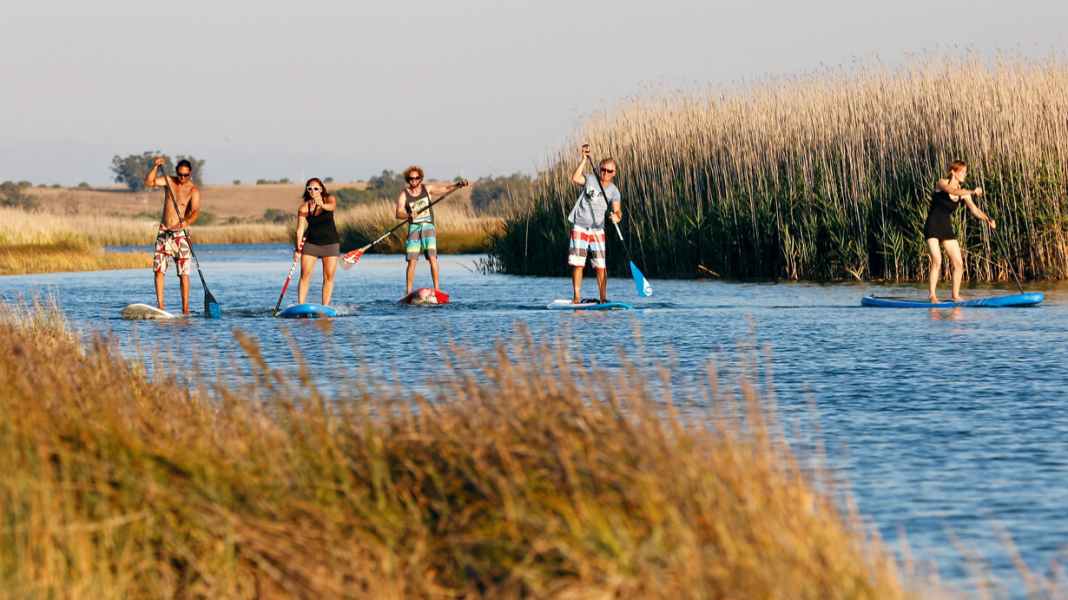 Test 2016: Vario paddle