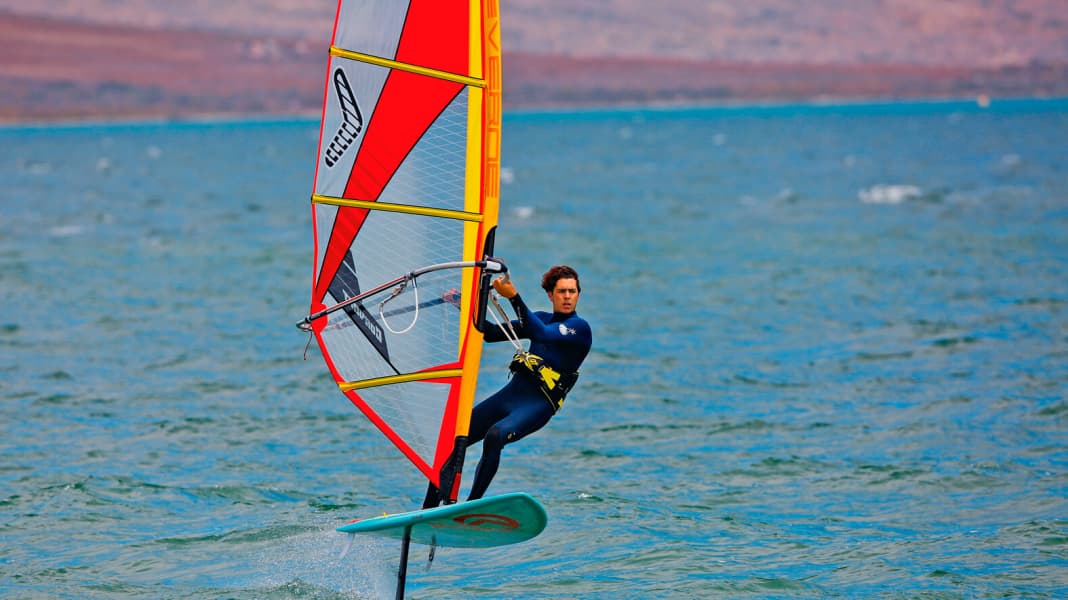 Einzeltest 2017: AHD Sealion Wings