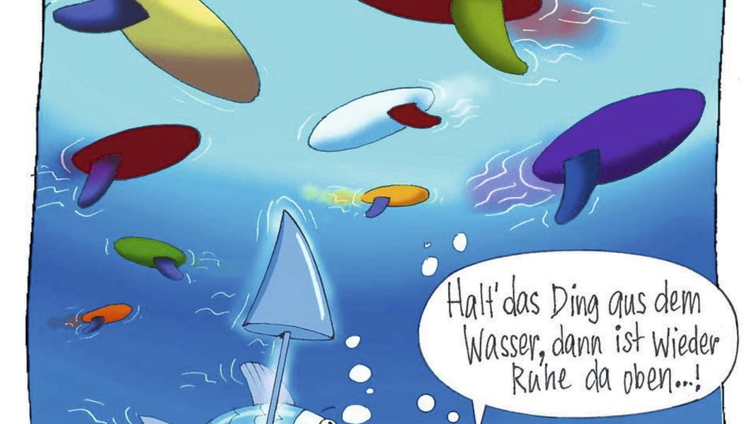 Geht’s noch?!: Was denken eigentlich Fische über Windsurfer?